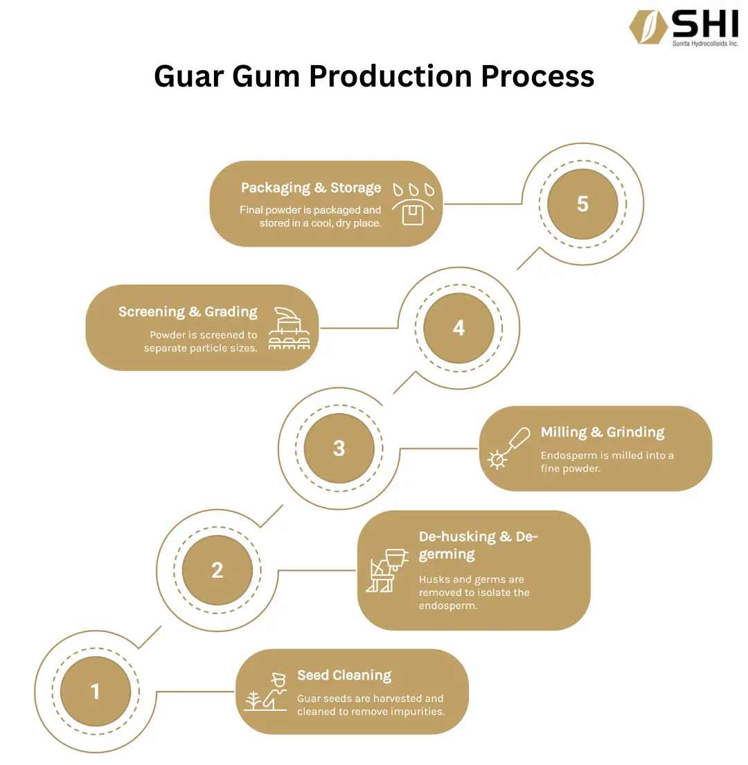 Infographic showing guar gum production process from seed cleaning to packaging