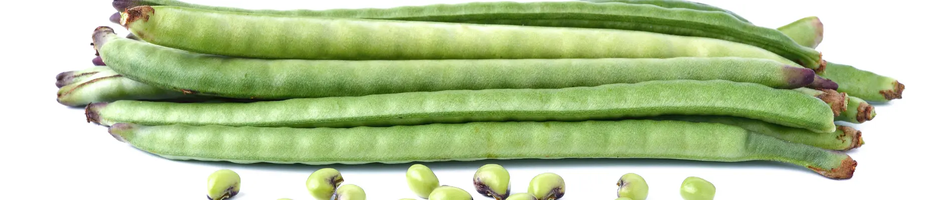 Multiple green guar fali (cluster bean) pods with guar gum seeds on white background, showing Cyamopsis tetragonoloba pods and seeds