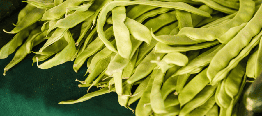 Is Guar Gum Vegan
