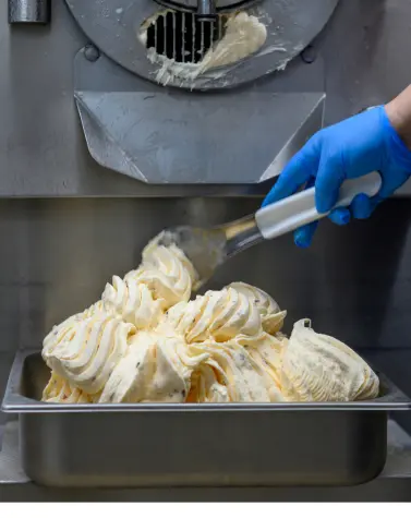 Freshly churned vanilla ice cream being scooped from a commercial ice cream machine, illustrating the creamy texture achieved with guar gum.