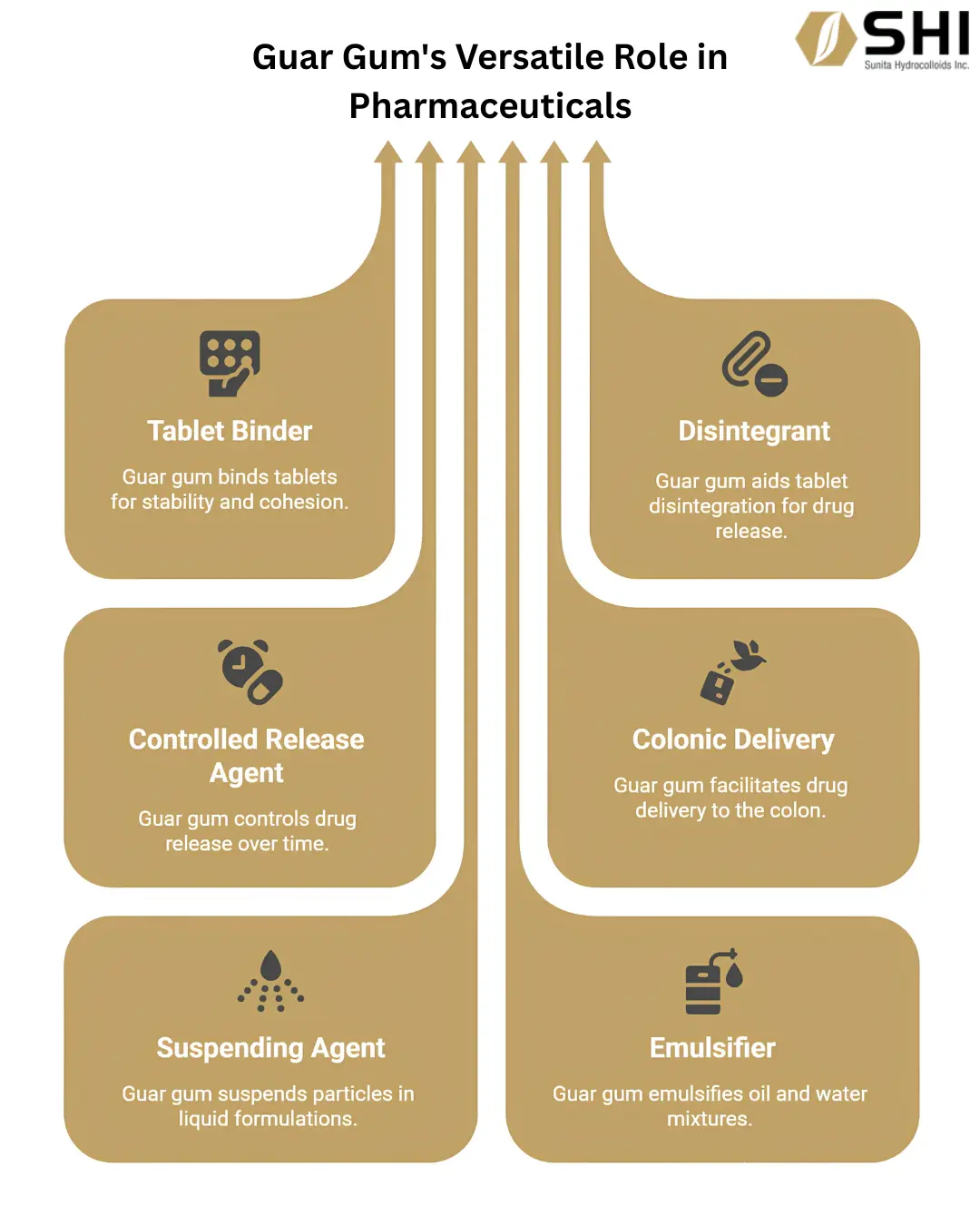 Infographic showing pharmaceutical uses of guar gum with labeled segments: Tablet Binder, Disintegrant, Controlled Release Agent, Colonic Delivery, Suspending Agent, Emulsifier.