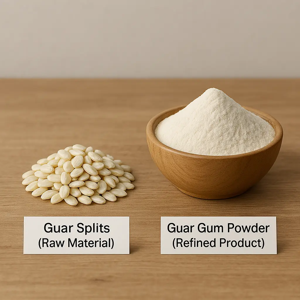 White guar splits labeled as raw material and guar gum powder labeled as refined product on a tabletop