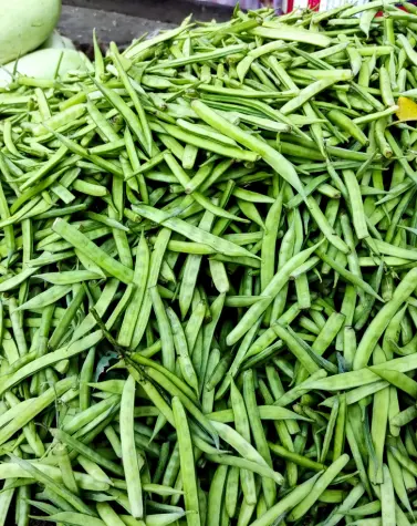 Fresh green guar beans, symbolizing the plant-based source of halal-certified guar gum.