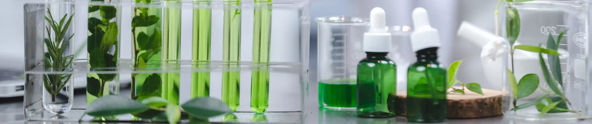 Lab setup with green liquids and plant leaves for natural hydrocolloid research in food and pharma.