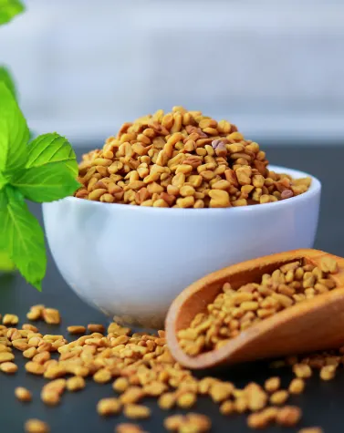 White bowl and wooden scoop filled with fenugreek seeds on a dark background