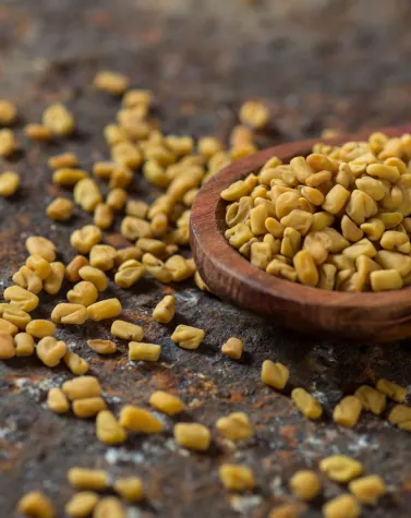Fenugreek seeds in a wooden spoon on a rustic surface, used for hydrocolloid extraction in pharmaceutical and nutraceutical formulations.