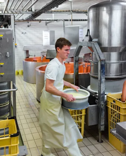 Cheese production process in a modern dairy facility, illustrating guar gum’s role in improving texture, stability, and consistency in food and beverage applications.